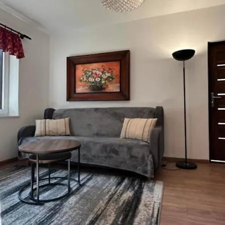 Large And Comfortable With A Garden *